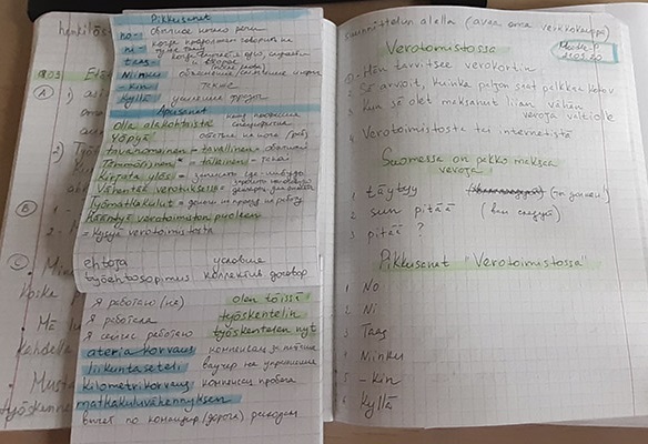 Группа учеников интеграционного курса финского языка в Финляндии изображение с сайта www.heihei.website