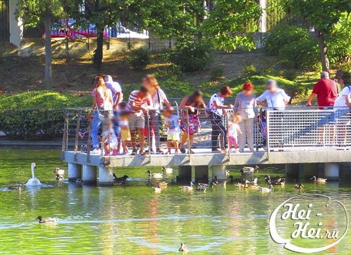 Paloma Park with wild animals in Benalmadena Andalucia Costa del Sol Spain image from the site www.HeiHei.website