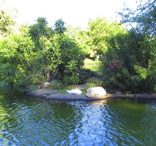 Paloma Park with wild animals in Benalmadena Andalucia Costa del Sol Spain image from the site www.HeiHei.website