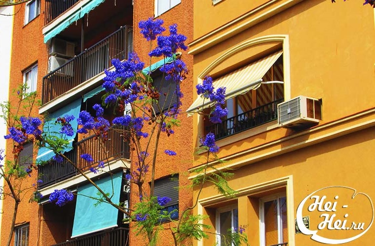 '.Fuengirola Andalusia Costa del Sol Spain image from the website www.HeiHei.website.'