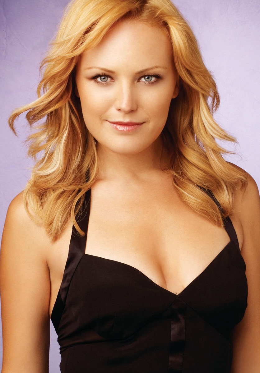 Malin Åkerman Most Beautiful Swedish Ladies www.heihei.website